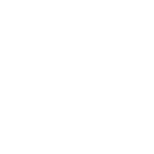 🔒